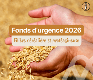 Fonds durgence 2